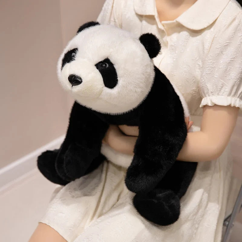 Adorable Fuzzy Black and Brown Panda Plush Toys