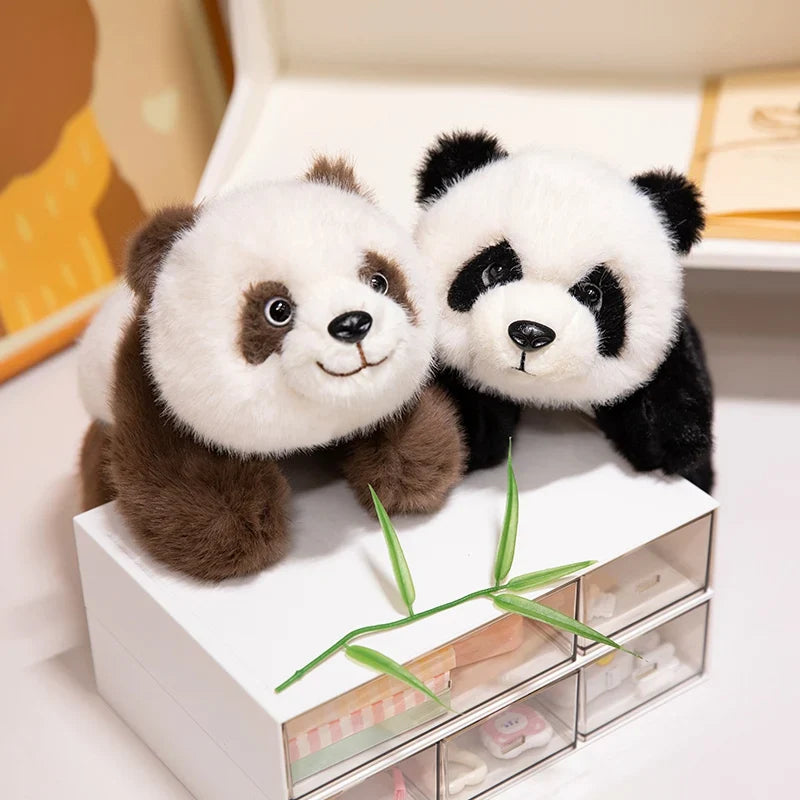 Adorable Fuzzy Black and Brown Panda Plush Toys