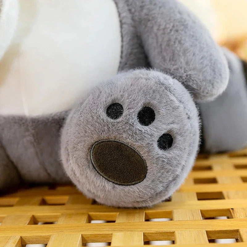 Coonie & Goonie: Your Adorable Raccoon Plushie Companions!