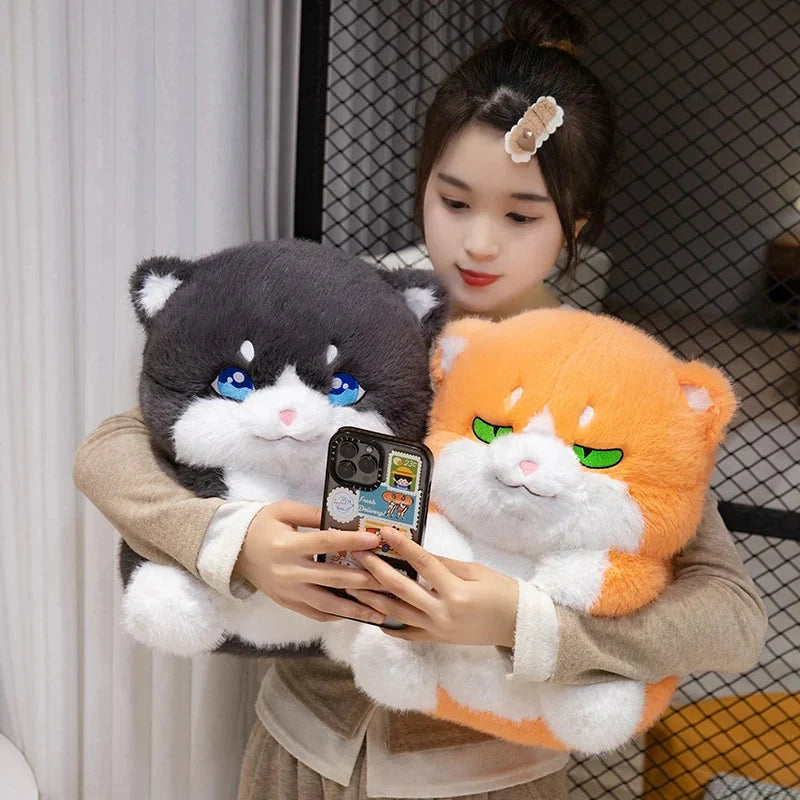 Adorable Plush Chubby Gray and Ginger Cat Toys
