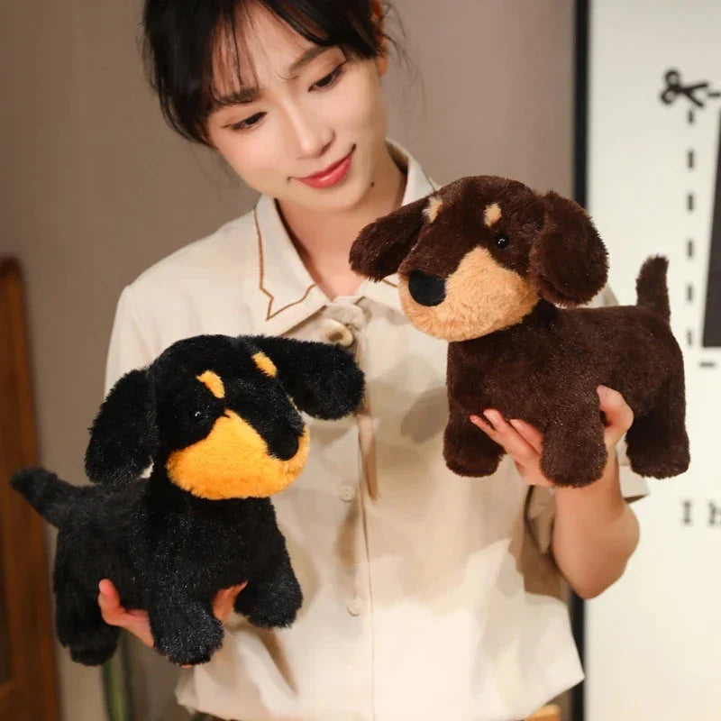 Adorable Dachshund Plush Toy – Perfectly Cuddly Sausage Dog Delight!