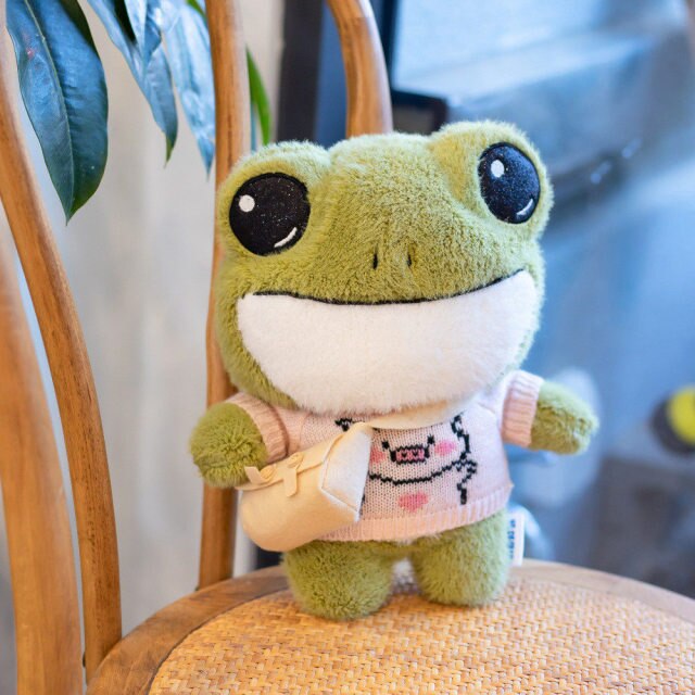 Finley's Adorable Mini Frog Plushie Collection