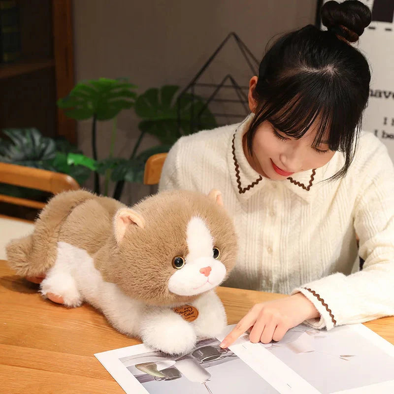 Adorable Fluffy Kitten Squad Cuddle Plushies