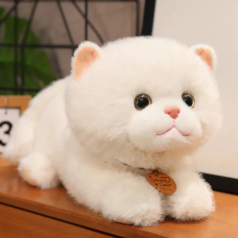 Adorable Fluffy Kitten Squad Cuddly Plush Toys