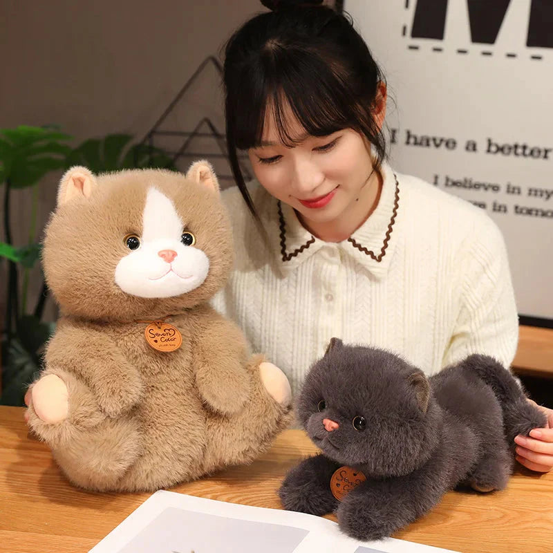 Adorable Fluffy Kitten Squad Cuddly Plush Toys