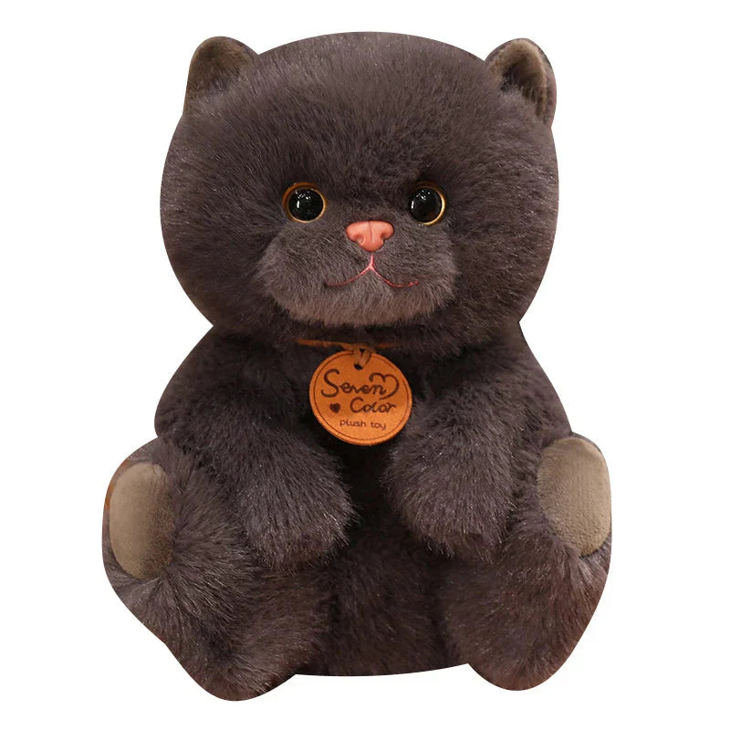 Adorable Fluffy Kitten Squad Cuddly Plush Toys