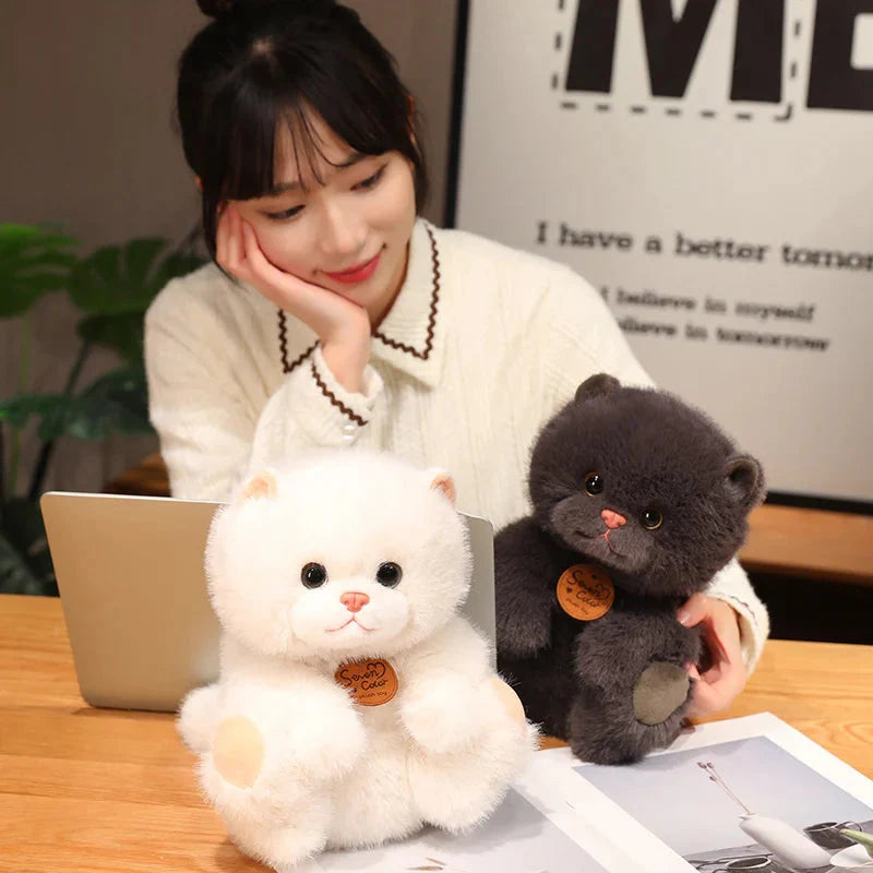 Adorable Fluffy Kitten Squad Cuddly Plush Toys