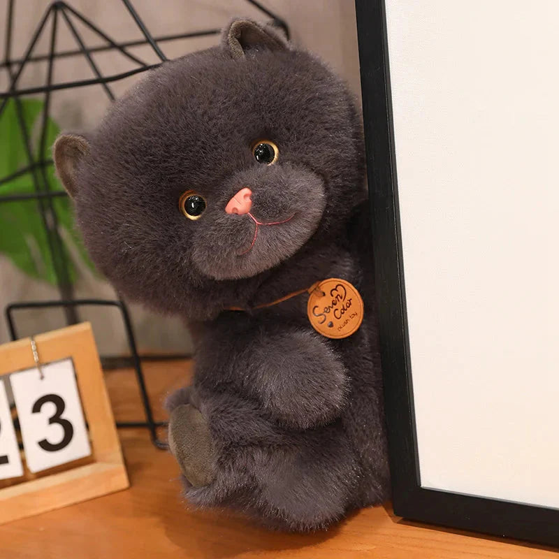 Adorable Fluffy Kitten Squad Cuddly Plush Toys