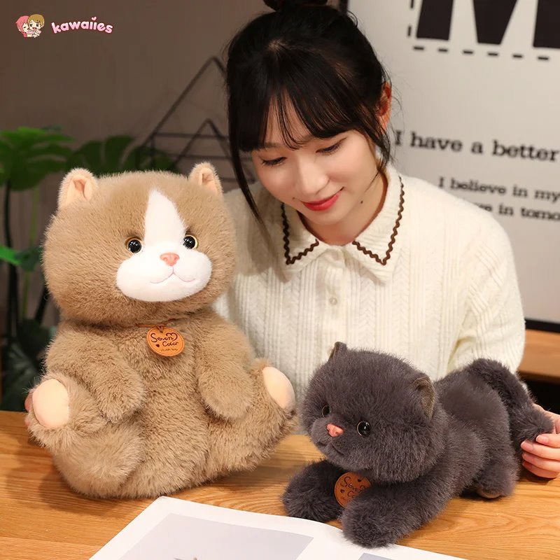 Adorable Fluffy Kitten Squad Cuddly Plush Toys