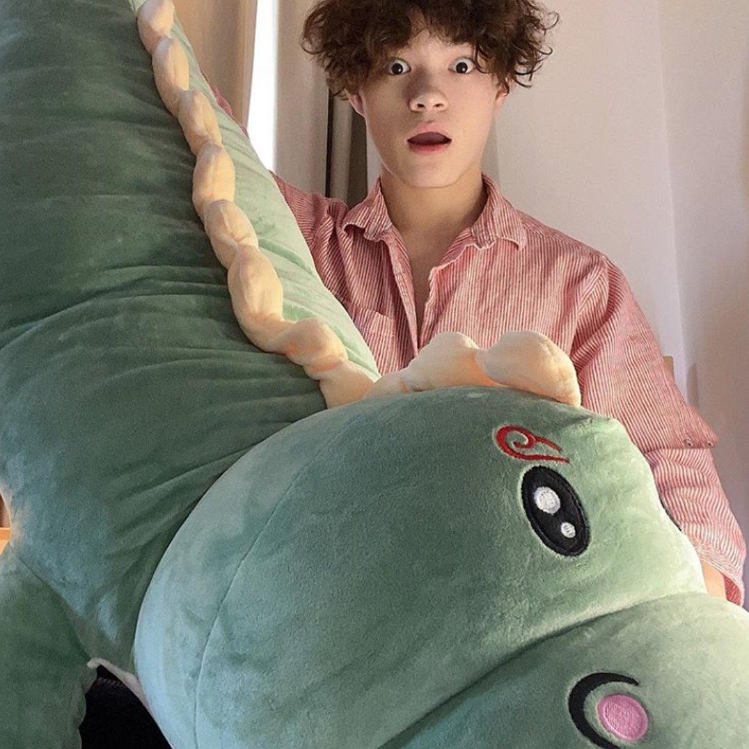 Cuddle Up with Haku the Adorable Dinosaur Plushie!