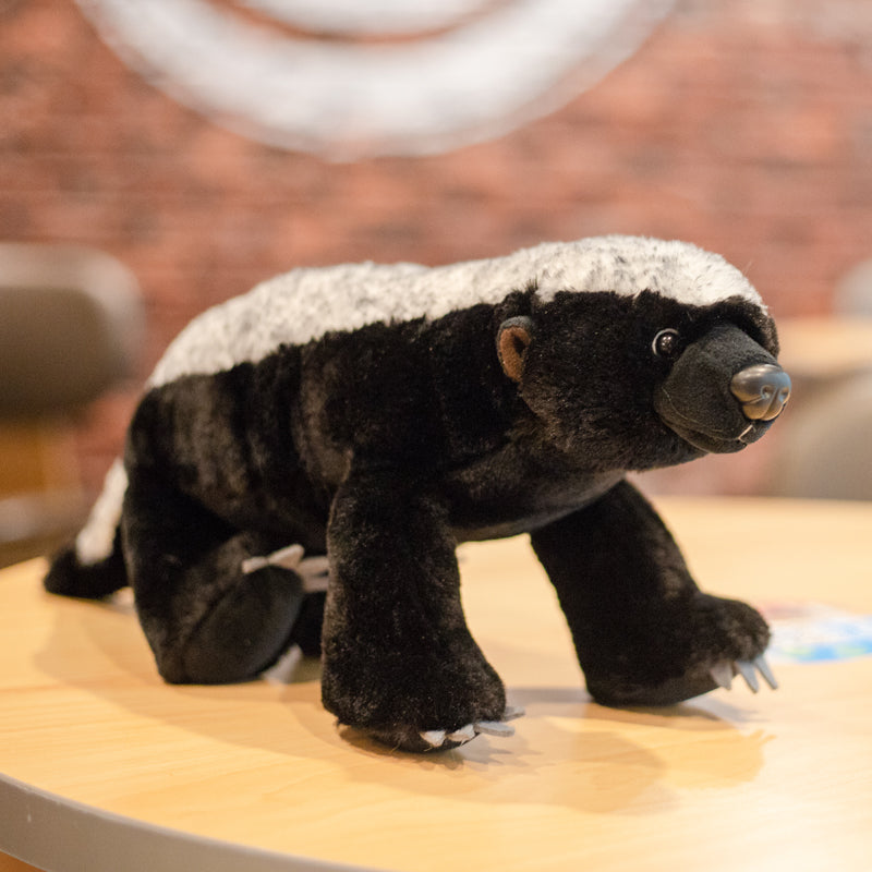 Adorable Honey Badger Plush Toy