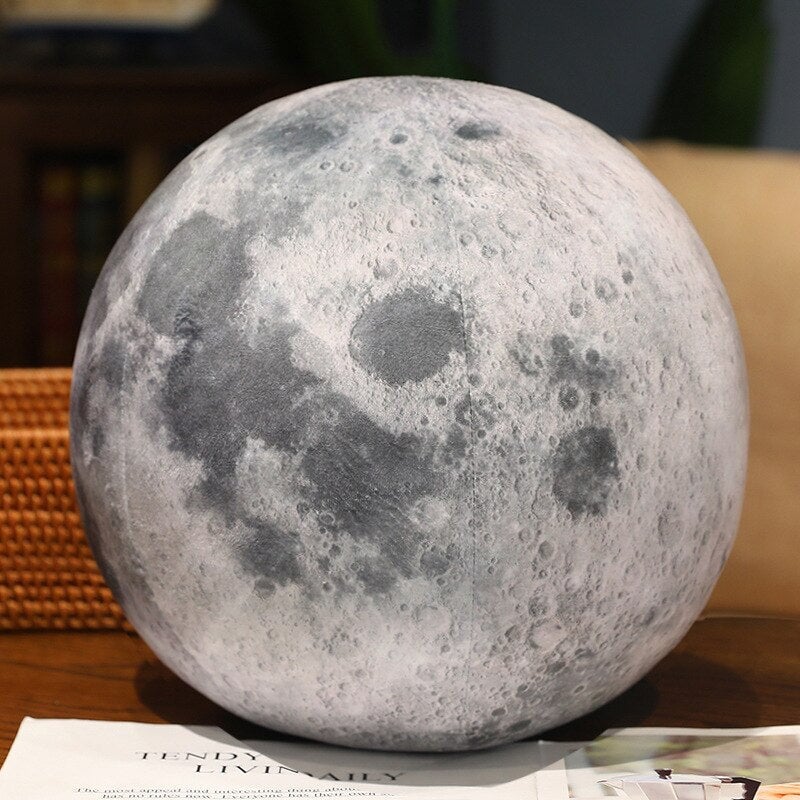 Cuddle Up with a Planet Plushie!