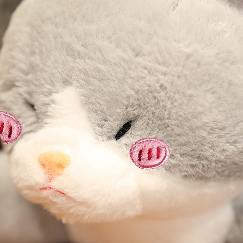 Adorable Grey Cat-Shark Hybrid Plush Toy