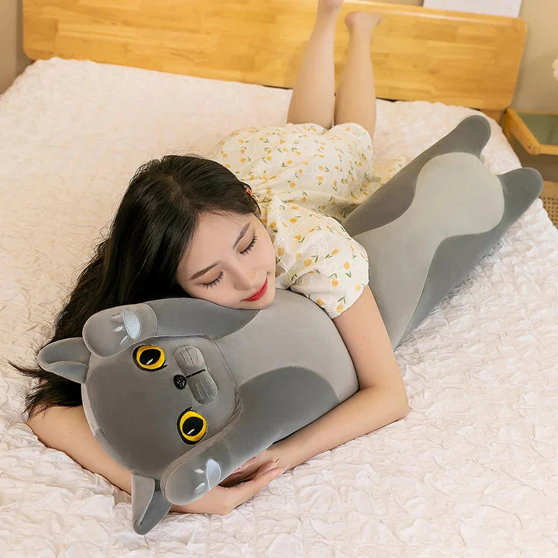Cozy Collection of Long Plush Siamese, British Shorthair, and Snowshoe Cat Stuffed Animals