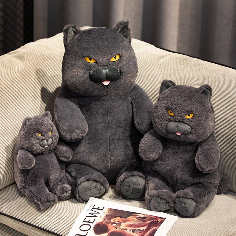 Poe the Adorably Grumpy Cat Plush Toy