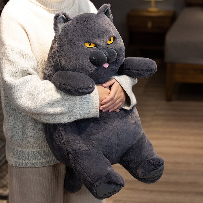 Poe the Adorably Grumpy Cat Plush Toy