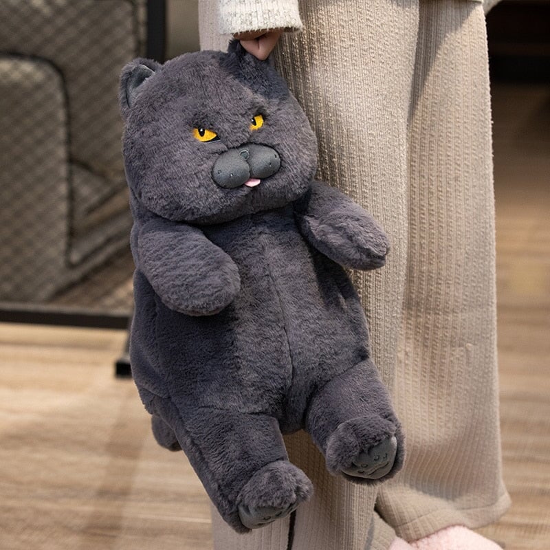 Poe the Adorably Grumpy Cat Plush Toy