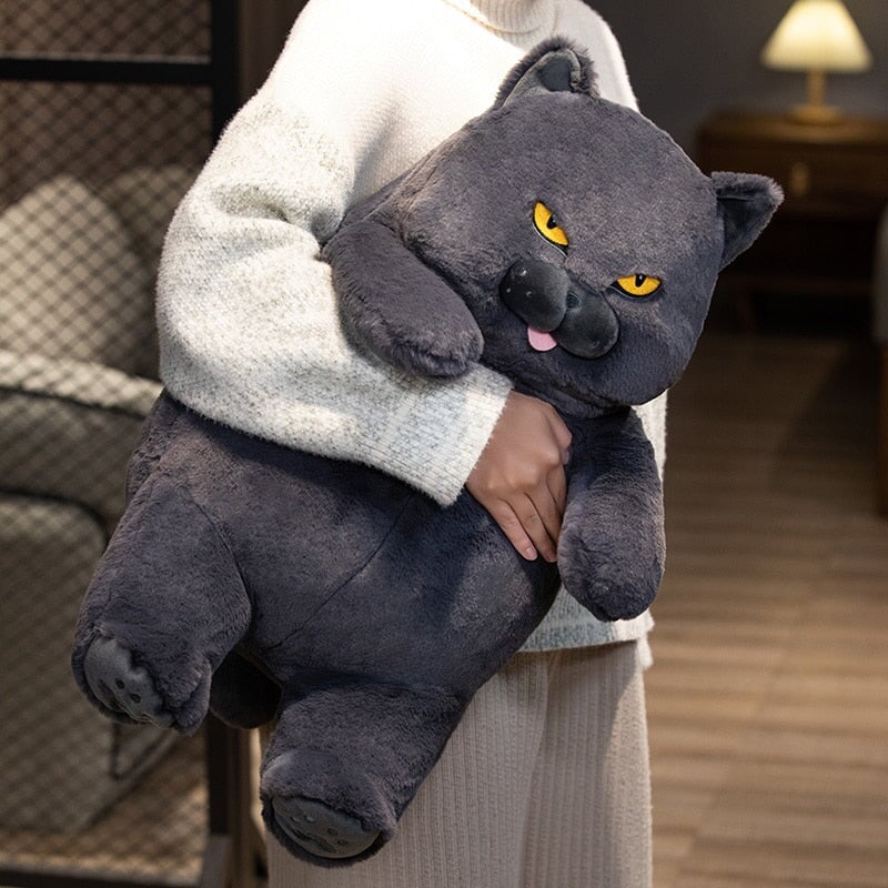 Poe the Adorably Grumpy Cat Plush Toy