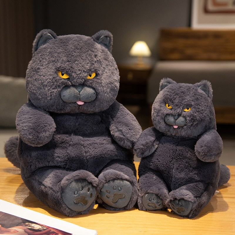 Poe the Adorably Grumpy Cat Plush Toy