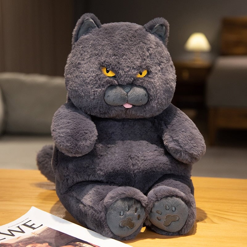 Poe the Adorably Grumpy Cat Plush Toy