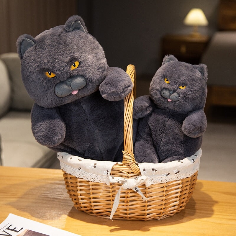 Poe the Adorably Grumpy Cat Plush Toy