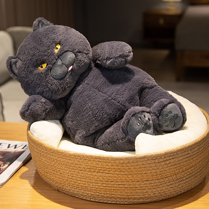 Poe the Adorably Grumpy Cat Plush Toy
