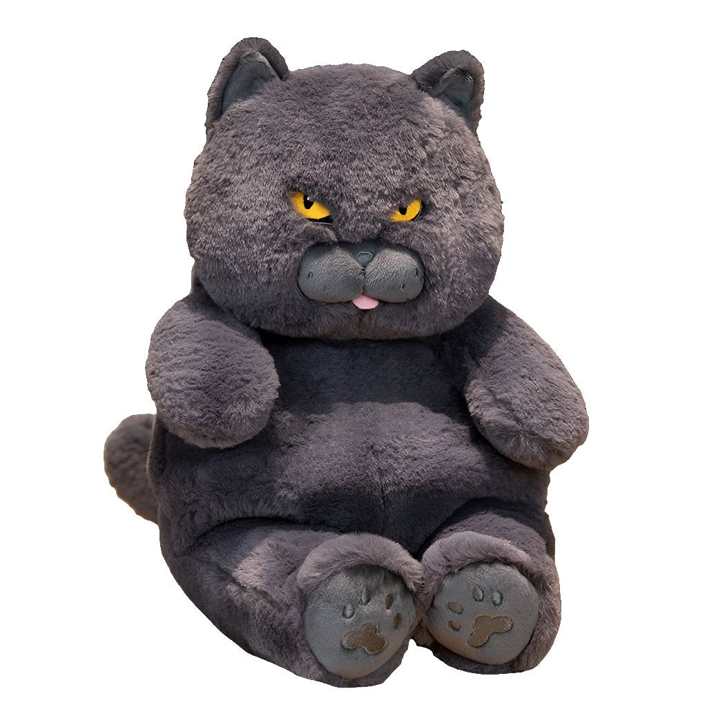 Poe the Adorably Grumpy Cat Plush Toy