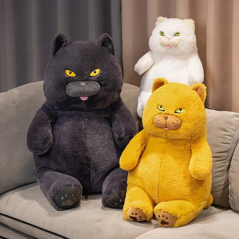 Poe the Adorably Grumpy Cat Plush Toy