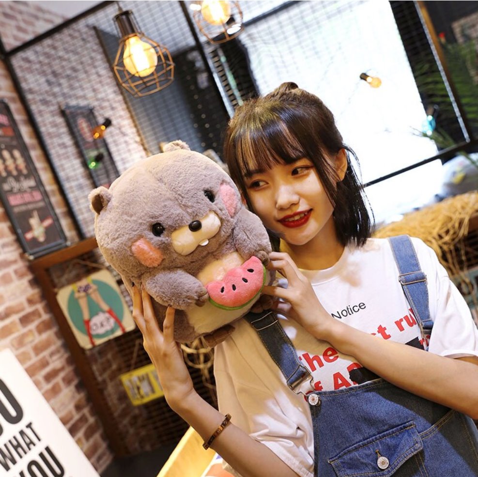Irresistible Snacking Beaver Plushies | Limited Availability!