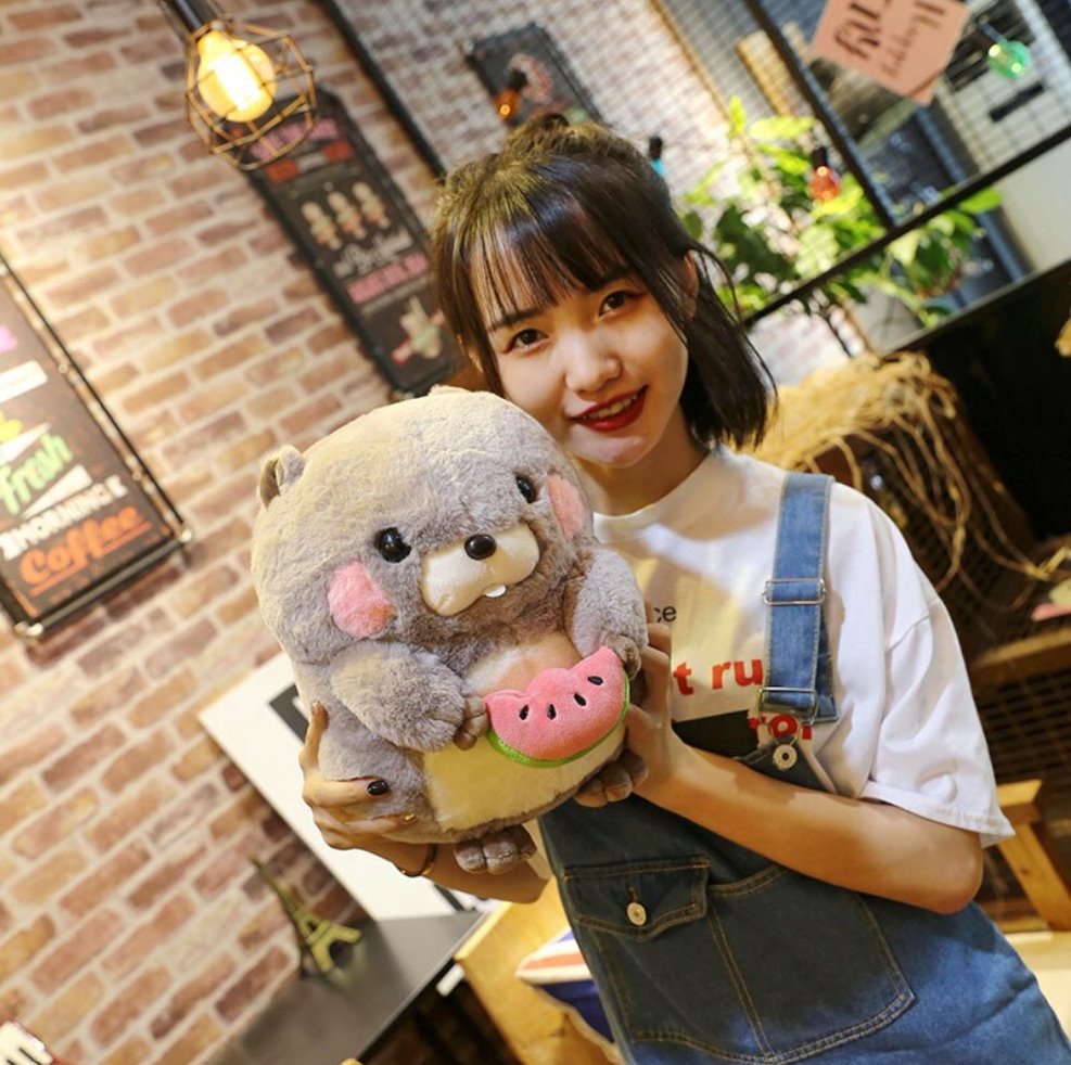 Irresistible Snacking Beaver Plushies | Limited Availability!