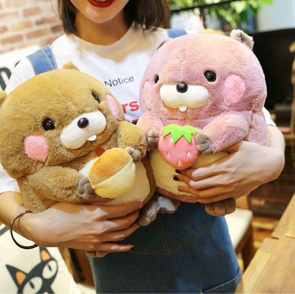 Irresistible Snacking Beaver Plushies | Limited Availability!