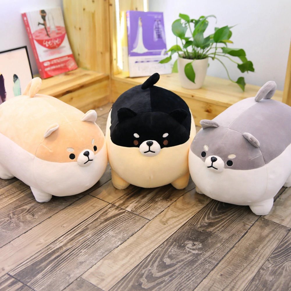 Adorable Angry Shiba Trio Plush Collection