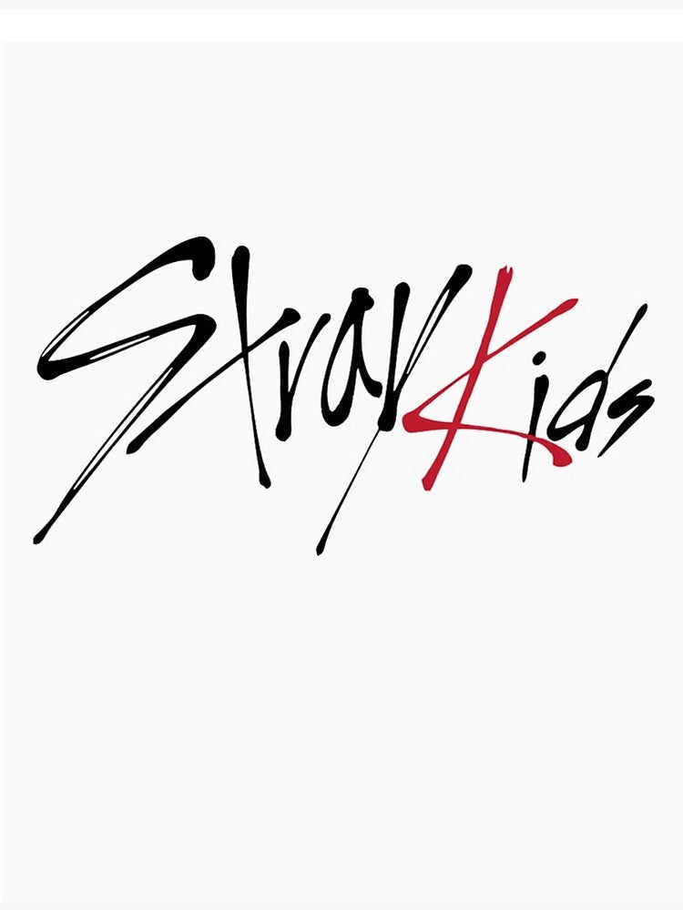 ALL our Stray Kids Products ðŸ’–