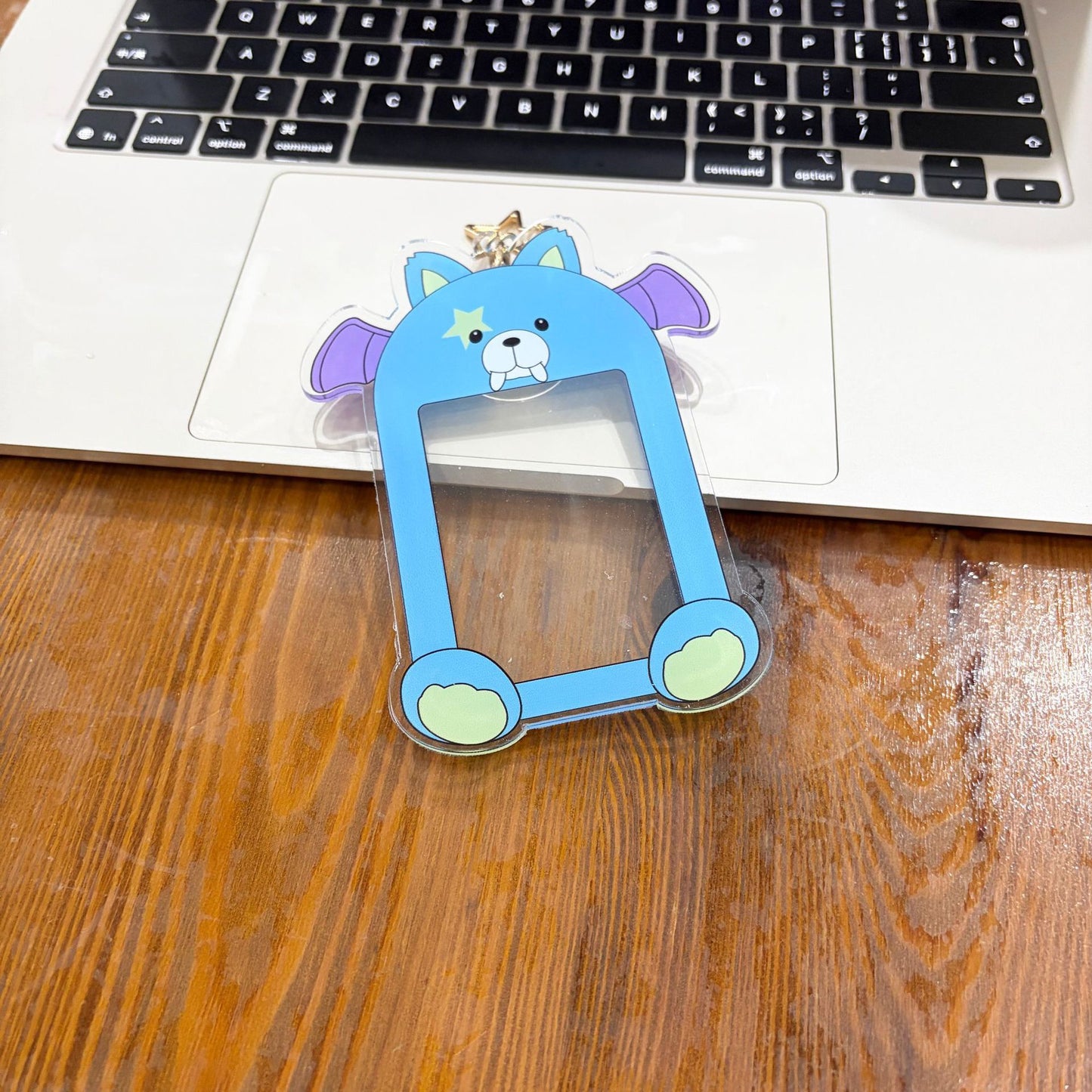 [NEW] Enhypen The Sin Vanish Photocard Holder