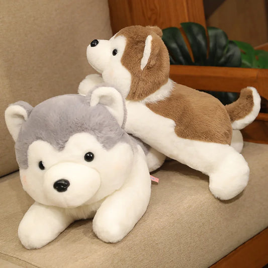 Adorable Soft Plush Husky - Cuddle Up with Cutie!