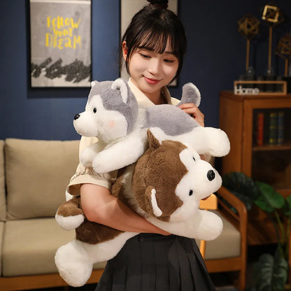 Adorable Soft Plush Husky - Cuddle Up with Cutie!