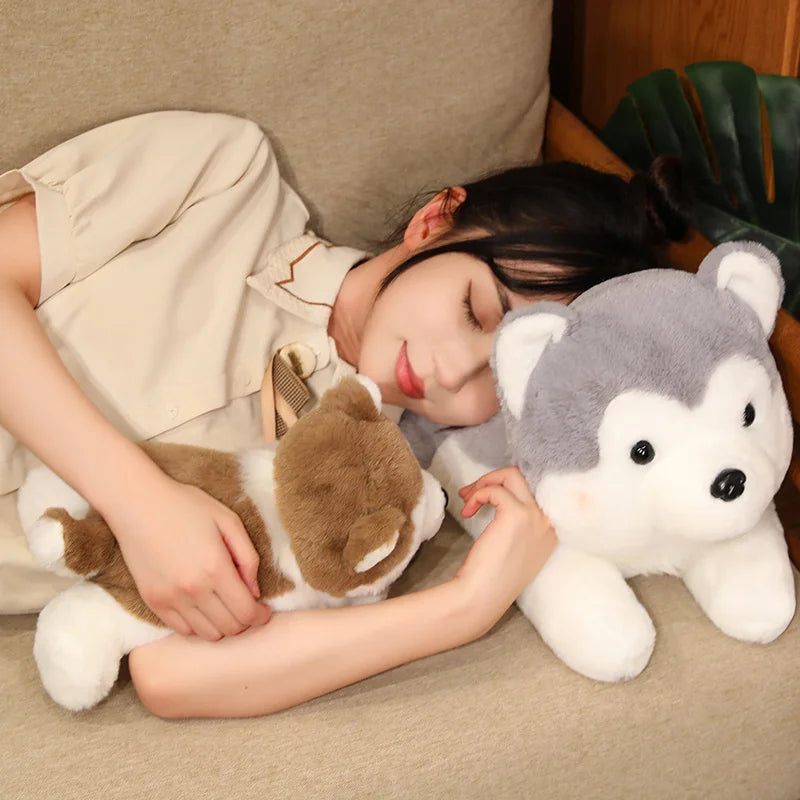 Adorable Soft Plush Husky - Cuddle Up with Cutie!