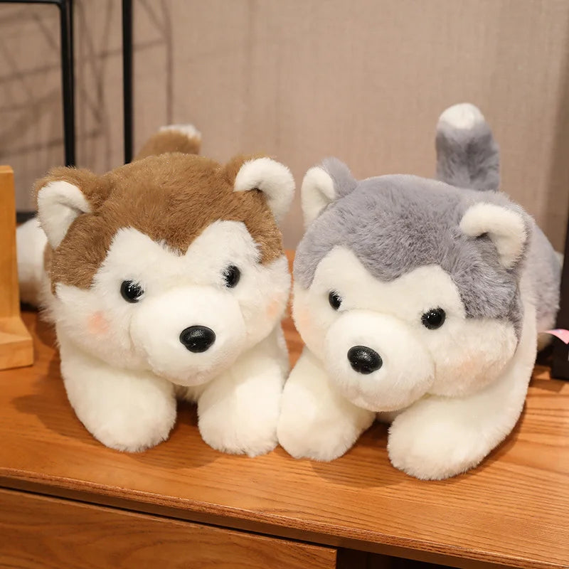 Adorable Soft Plush Husky - Cuddle Up with Cutie!