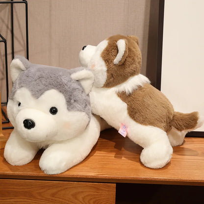 Adorable Soft Plush Husky - Cuddle Up with Cutie!