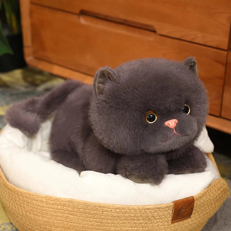 Adorable Fluffy Kitten Squad Cuddly Plushies