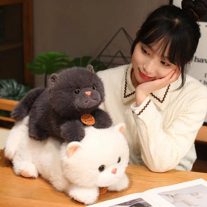 Adorable Fluffy Kitten Squad Cuddly Plushies