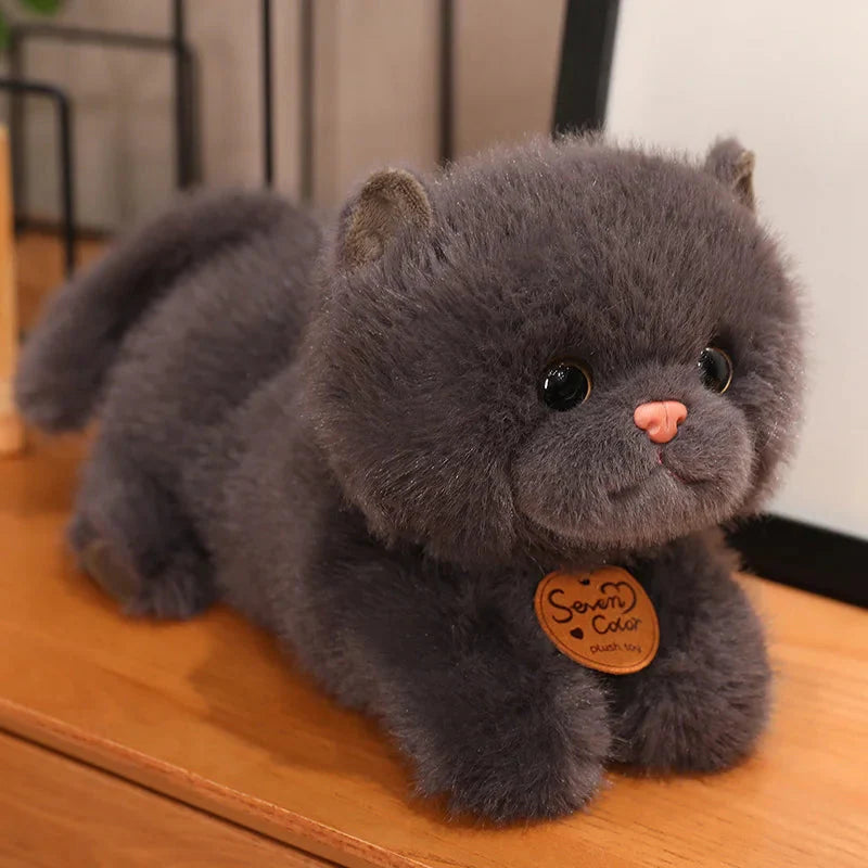 Adorable Fluffy Kitten Squad Cuddly Plushies