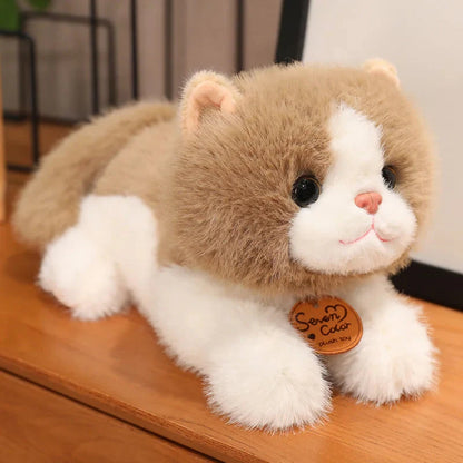 Adorable Fluffy Kitten Squad Cuddly Plushies