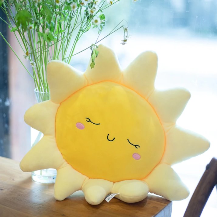 Blissful Dream Sun Pillow