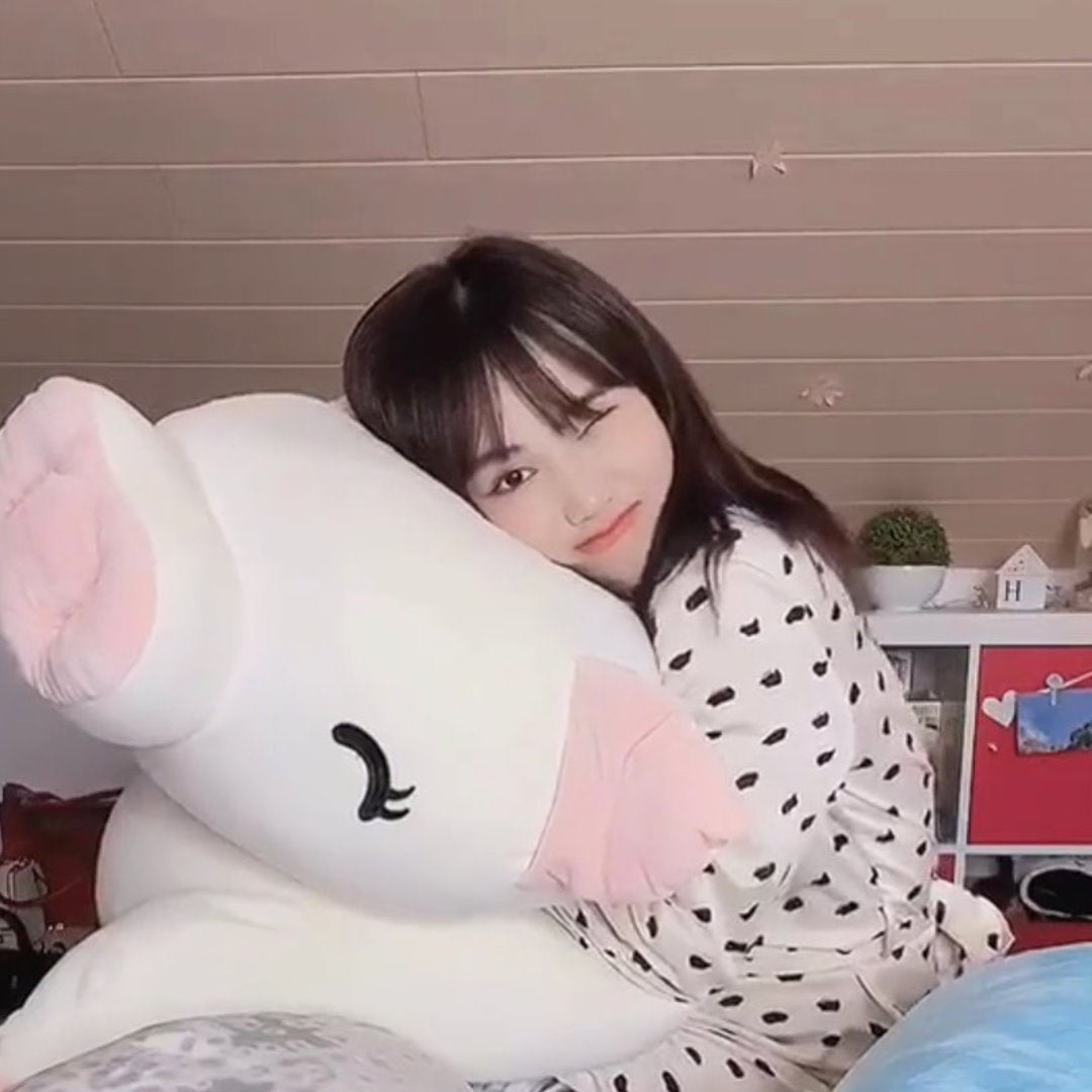 Limited Edition Jeju The Piggy Plushie