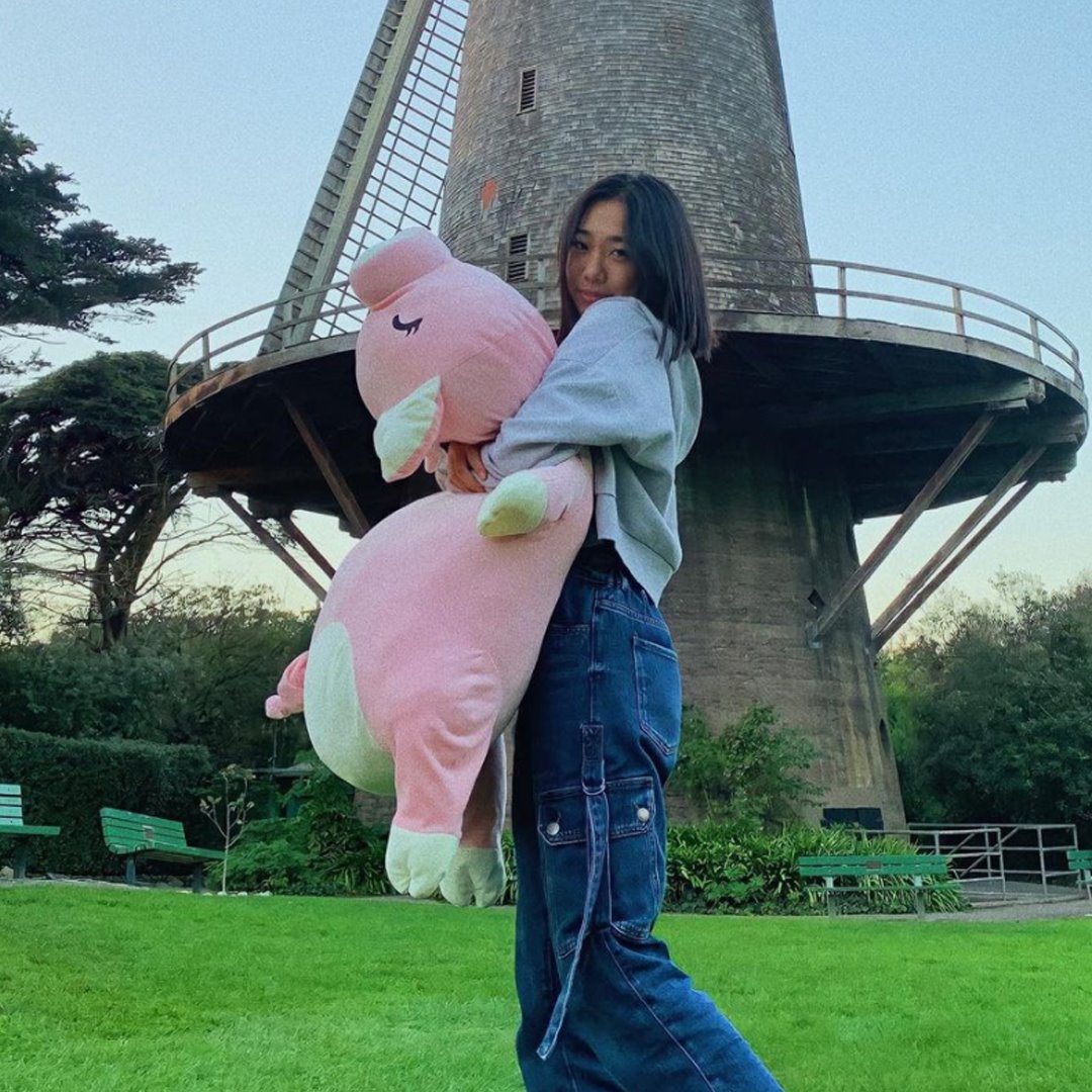 Limited Edition Jeju The Piggy Plushie